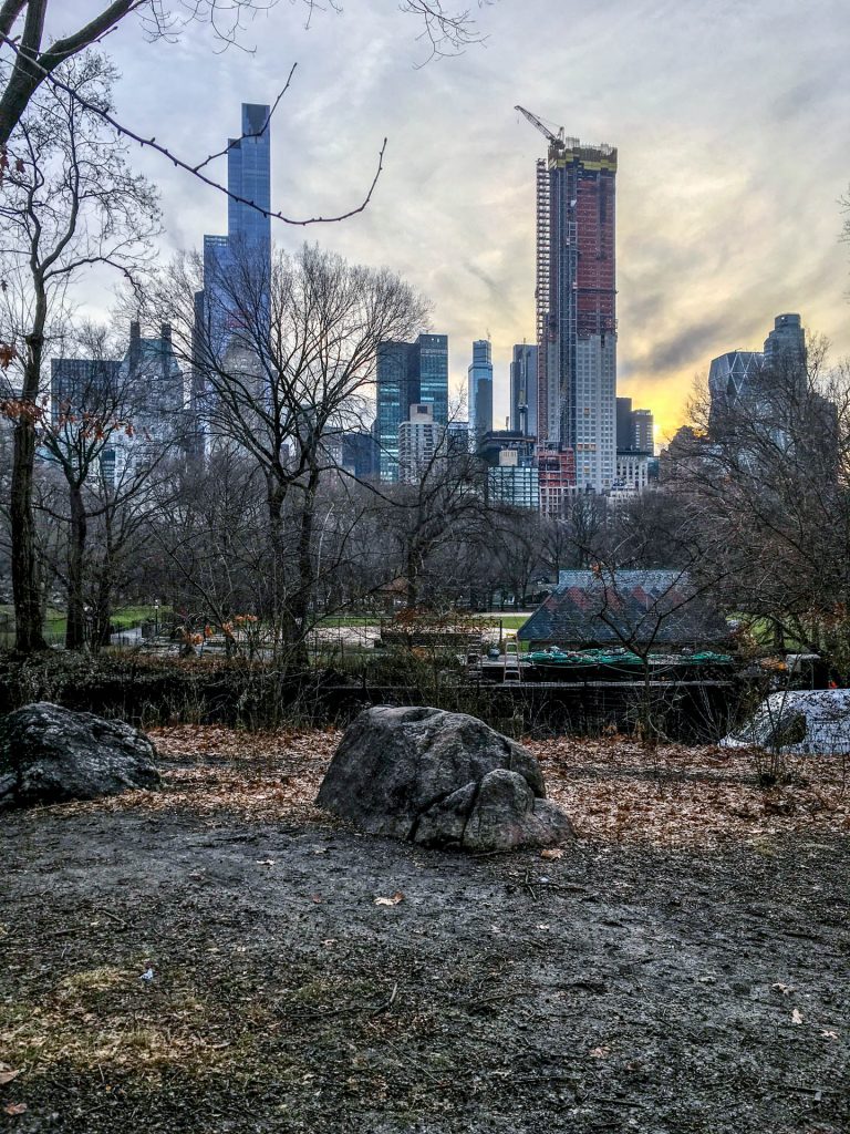 Central Park with bare dead trees and no grass.